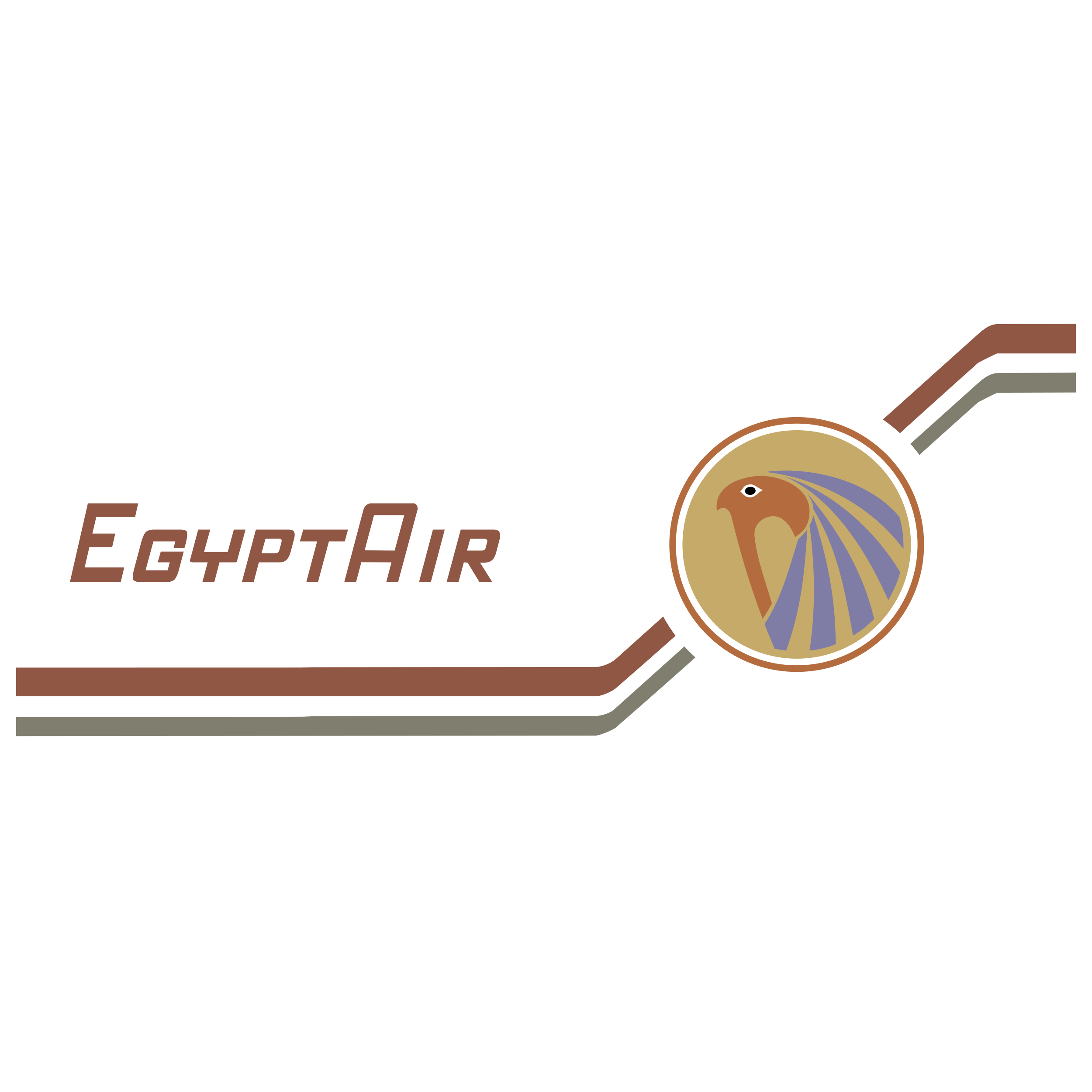 Egypt Air Cargo tracking