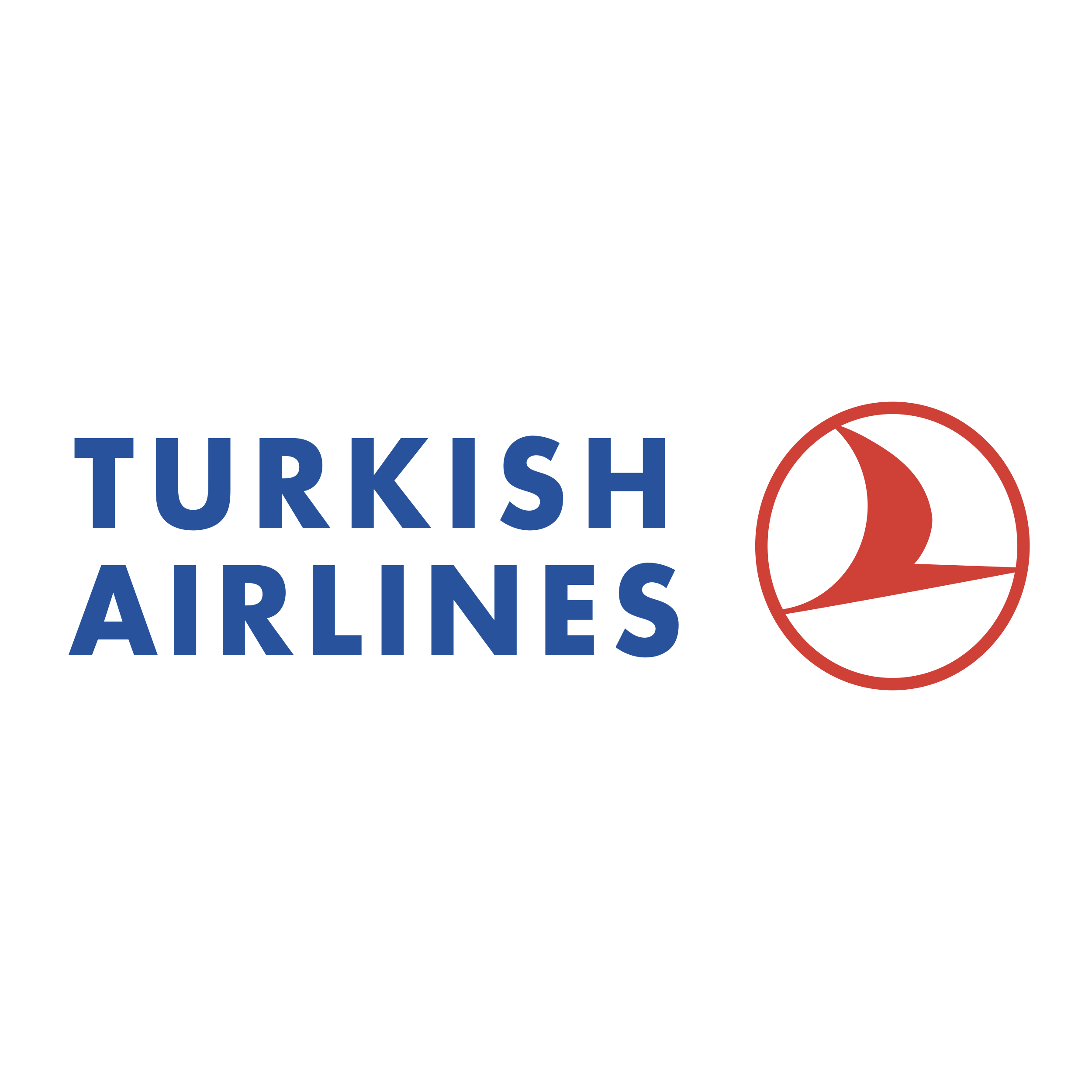 Turkish Airlines Cargo tracking